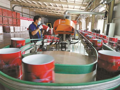 防疫不松勁 生產加速度 技術開發 三線并進，筑牢發展根基